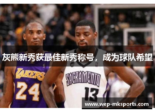 灰熊新秀获最佳新秀称号，成为球队希望