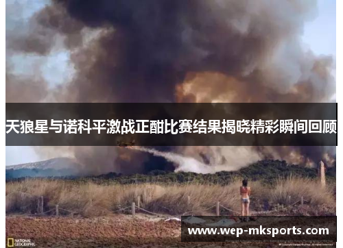 天狼星与诺科平激战正酣比赛结果揭晓精彩瞬间回顾